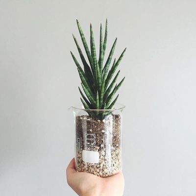 300638,筹划重大资产重组